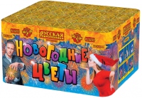 Новогодние цветы Фейерверк купить в Рузе | ruza.salutsklad.ru