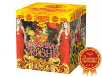 Красивая жизнь Фейерверк купить в Рузе | ruza.salutsklad.ru