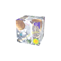 Новогодняя ночь Салют купить в Рузе | ruza.salutsklad.ru