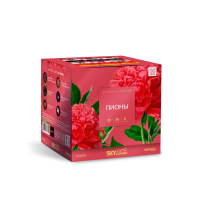 Пионы Салют купить в Рузе | ruza.salutsklad.ru