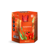 Тюльпаны Салют купить в Рузе | ruza.salutsklad.ru