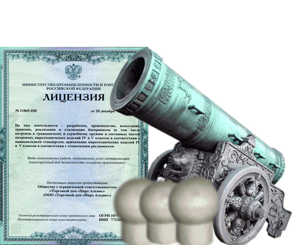 Заказать фейерверк на Новый Год - салют в Рузе