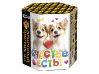 Счастье есть! Салют купить в Рузе | ruza.salutsklad.ru