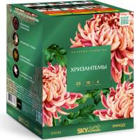 Хризантемы Фейерверк купить в Рузе | ruza.salutsklad.ru