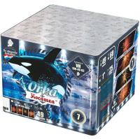 Косатка Фейерверк купить в Рузе | ruza.salutsklad.ru