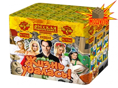 Жизнь удалась Фейерверк купить в Рузе | ruza.salutsklad.ru