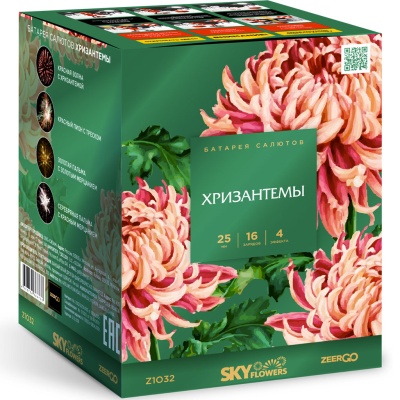 Хризантемы Фейерверк купить в Рузе | ruza.salutsklad.ru