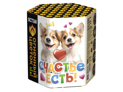 Счастье есть! Салют купить в Рузе | ruza.salutsklad.ru